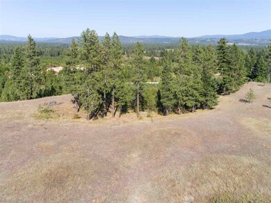 28107 N Perry Rd, Chattaroy, WA 99003 - photo 6