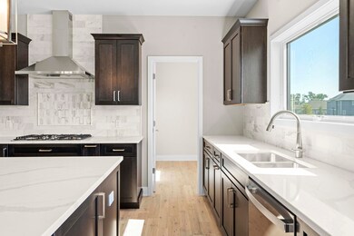 9683 Corydalis Ave, Saint John, IN 46373 - photo 6