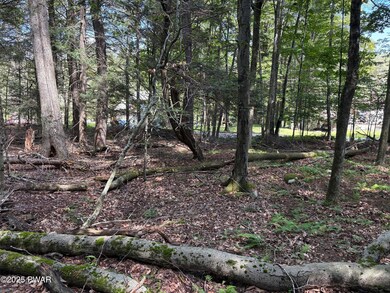 0 Wallenpaupack Dr unit PWBPW252769, Greene Township, PA 18426 - photo 7