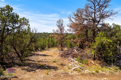 3656 Zane Grey Trail unit 60, Overgaard, AZ 85933 - photo 2