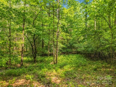 0 Creekside Cir unit 120 CAR4263148, Rutherfordton, NC 28139 - photo 5