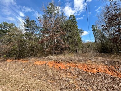 000 Rabbit Run Rd, Baconton, GA 31716 - photo 2