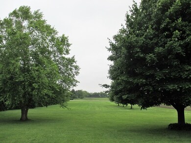 View from Front Porch