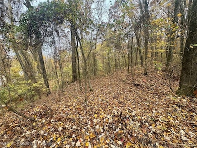 01 Arkansas 96, Cecil, AR 72930 - photo 7