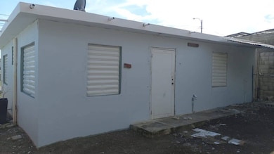 #91 Calle Facundo Alicea Ext San Felipe, Salinas, PR 00704 - photo 3