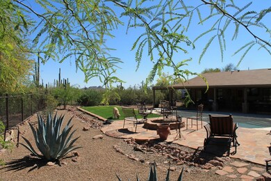 BackYard5