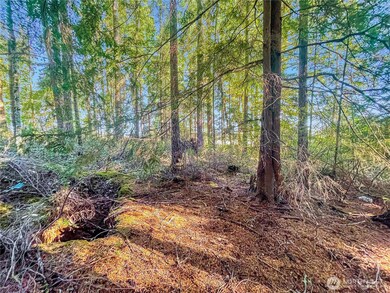 300 Kerr Rd, Silver Lake, WA 98645 - photo 5