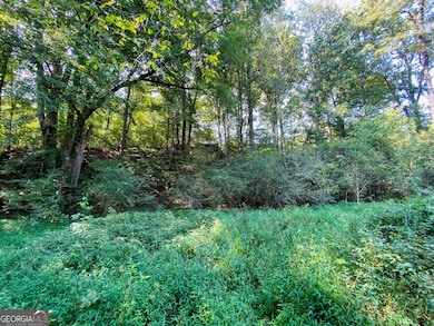 3746 Ledan Rd, Gainesville, GA 30506 - photo 7