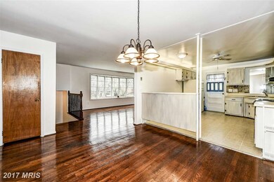 13019 Blairmore St, Beltsville, MD 20705 - photo 7