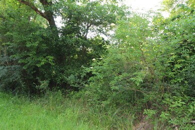 0 Bradbury Dr unit 78869892, Hockley, TX 77447 - photo 5