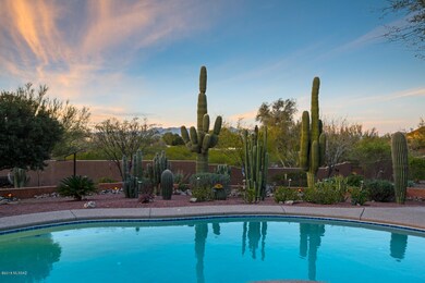 North-Facing Backyard