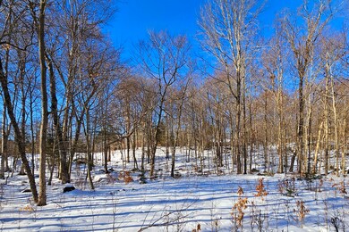 137 Mohawk Dr W.