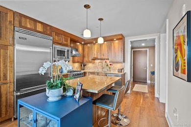 5 Renaissance Square unit 19B, White Plains, NY 10601 - photo 6