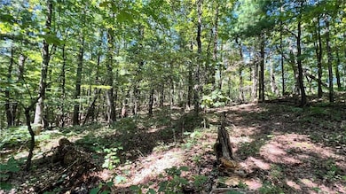 TBD2 Barlowe Place, Lenoir, NC 28645 - photo 5