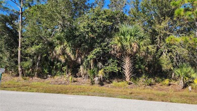 12062 Coleman Ave, Port Charlotte, FL 33981 - photo 4