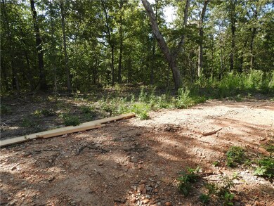 17 Pickering Dr, Bella Vista, AR 72714 - photo 5