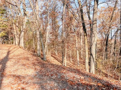 0 Meg Ln unit 1232777, Bella Vista, AR 72714 - photo 2