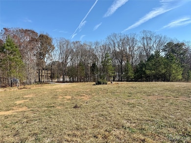 2884 Highway 47, Columbiana, AL 35051 - photo 5