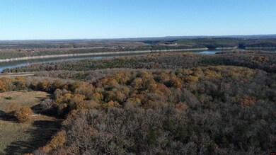 Tract 13 Timber Shoals Rd, Cedar Creek, MO 65627 - photo 7