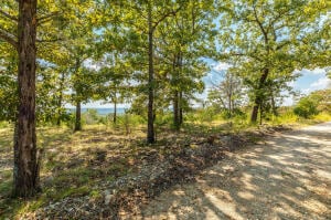 Tract 5 Mc 8025, Peel, AR 72668 - photo 2