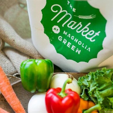 7430 Wild Senna Terrace, Moseley, VA 23120 - photo 6