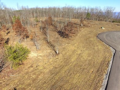 0 Eagle Eye Dr unit RTC2721801, Jasper, TN 37347 - photo 4