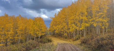 TBD Divide Rd, Gateway, CO 81522 - photo 3