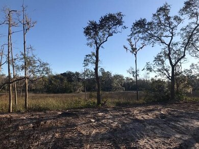 Marsh Views!!