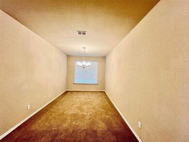 312 Lemon Mint Ln, Denton, TX 76210 - photo 4