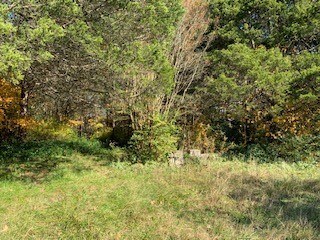 2212 U S 41a, Shelbyville, TN 37160 - photo 7