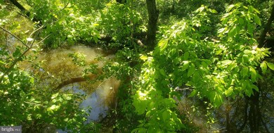 0 Homberg Ave, Essex, MD 21221 - photo 6