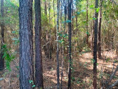 0 Sycamore Ln unit 21013469, Plantersville, TX 77363 - photo 2