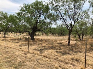 0 Twin Lakes Ln, San Angelo, TX 76904 - photo 4