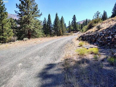 226 Scenic Dr, Canyon City, OR 97820 - photo 7