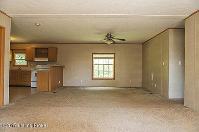 124 Millers Ridge, Lebanon Junction, KY 40150 - photo 5
