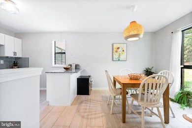 2074 Royal Fern Ct unit 1C, Reston, VA 20191 - photo 7