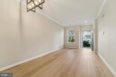 18 Old Cedarbrook Rd unit 204, Wyncote, PA 19095 - photo 5