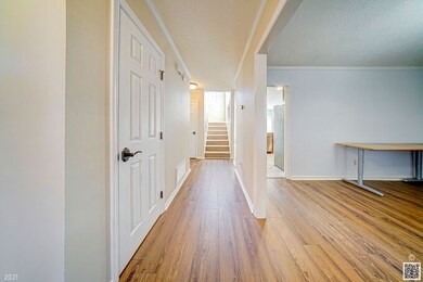 View from Foyer