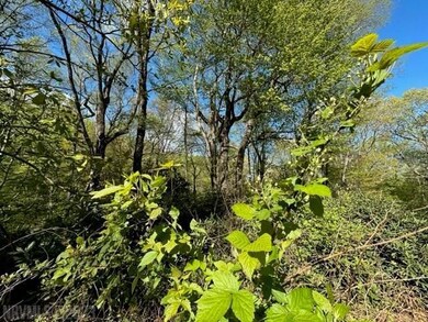 TBD Windermere Way, Fancy Gap, VA 24328 - photo 7