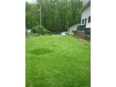 Yard/Garden.