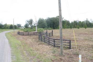 0 Wildlife Way unit 847156, Callahan, FL 32011 - photo 4