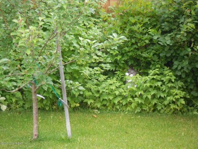 Backyard Pic 2