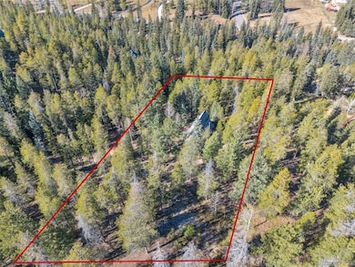 7624 Brook Forest Ln, Evergreen, CO 80439 - photo 6