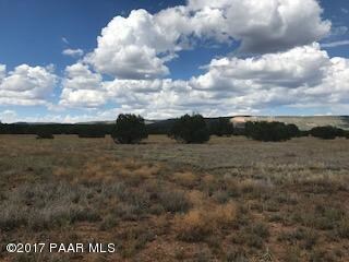 2001 Forest Line Rd, Ash Fork, AZ 86320 - photo 4