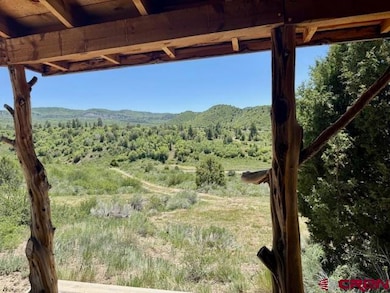 4915 Road 31, Cahone, CO 81320 - photo 6