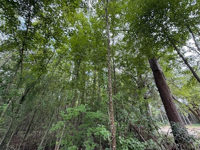 0000 Live Oak Ln, Barnwell, SC 29812 - photo 3