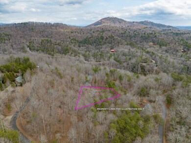 123 Melrose Ct, Lake Lure, NC 28746 - photo 4