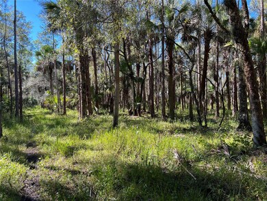 3570 Magnolia Trace, Labelle, FL 33935 - photo 4