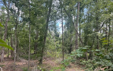 0 Tbd Sw 74th Ct, Jasper, FL 32052 - photo 2