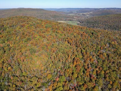 0000 Cr 935, Berryville, AR 72616 - photo 5